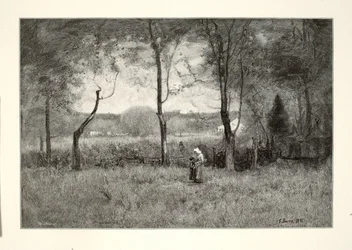 Houtverzamelaars