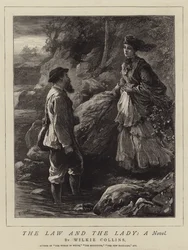 De wet en de dame, een roman