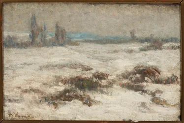 Winterlandschap
