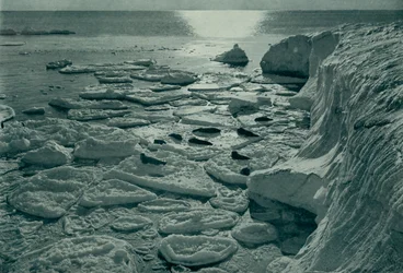 Zeehonden die zich koesteren op nieuw gevormd pannenkoekijs bij Cape Evans, ca. 1910-1913, 1913