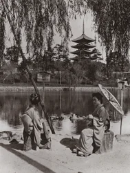 De Kobukuji-pagode (zw/w foto)