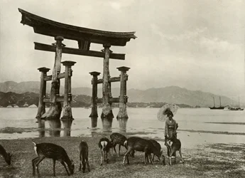 De Oude Torii in Miyajima, 1910