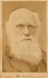 Portret van Charles Darwin 1809-1882