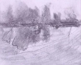 Een groep bomen weerspiegeld in water