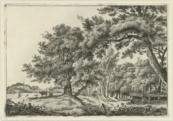 Landschap met twee koeien in de schaduw