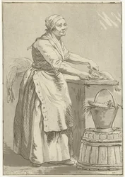 Vis schoonmakende vrouw