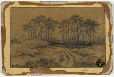 Pad door Bomen