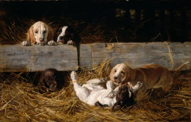 H. Biedermann-Arendts, Spelende puppy