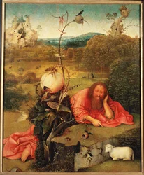 Johannes de Doper in meditatie (olieverf op hout)