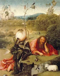 Sint Jan de Doper sluimerend in de natuur.