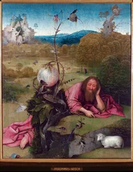 Johannes de Doper in de woestijn