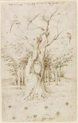 Het bos heeft oren, het veld heeft ogen, door Hieronymus Bosch (ca. 1450-1516). Pen en bruine Oost-Indische inkt op papier, afmetingen: 20,2 x 12,7, ca. 1500-1515, Staatliche Museen, Berlijn