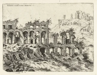 Gezicht op het Colosseum en de Palatijn
