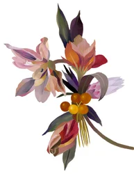 Een denkbeeldige bloem gebaseerd op een tulp