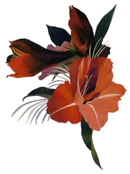 Een denkbeeldige bloem gebaseerd op een amaryllis