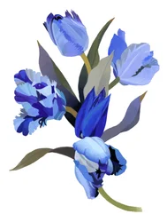 Blauwe Tulp
