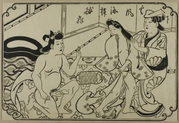 Een blad uit een shunga-album