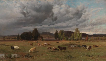 Weideland in Häme