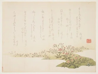 Viooltjes, ca. 1848-53