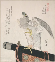 Havik van zijde; specialiteiten van Karakiya in Kokucho
