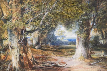 In het Bos