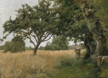 Landschap van Bretagne