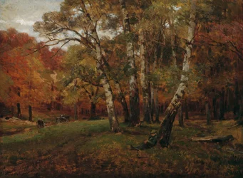 Landschap met berken