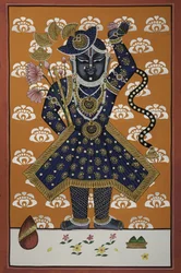 Goddelijk Blauw Krishna-kind