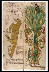 De Wolf Fenrir en de Wereldboom Yggdrasil, 1680