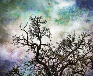 Abstracte Sky Trees