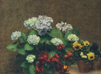 Bloemen