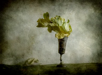 Beker met verdorde sla