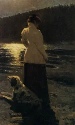 Maanverlichte nacht