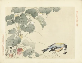Vogel bij rups