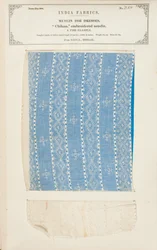 Chikan geborduurd mousselinemonster uit Dacca in Bengalen, uit The Collection of the Textile Manufacturers of India, door John Forbes Watson, gepubliceerd in 1866