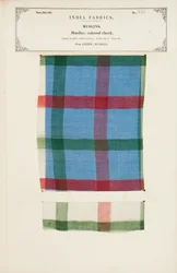 Gekleurd geruit mousselinemonster uit Arnee in Madras, uit De Collectie van de Textielfabrikanten van India, door John Forbes Watson, gepubliceerd in 1866