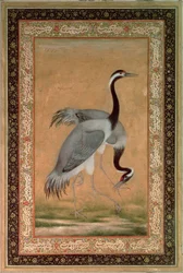 Kraanvogels door Mansur, Jahangir Periode, Mughal