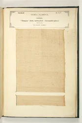 Dungary-stof, Salem, Madras, uit De Collectie van de Textielfabrikanten van India, door John Forbes Watson, uitgegeven in 1866