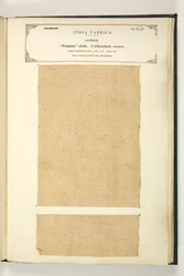 Punjum-stof, Vizagapatam, Madras, uit De Collectie van de Textielfabrikanten van India, door John Forbes Watson, uitgegeven in 1866