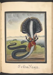 Sesha, de slang waarop Vishnu ligt