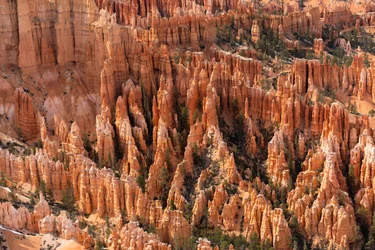 Hoodoos - torenspitsen gecreëerd door erosie - in Bryce Canyon National Park in Utah, 2019