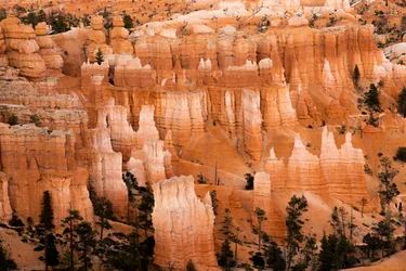 Hoodoos - torenspitsen gecreëerd door erosie - in Bryce Canyon National Park in Utah, 2019
