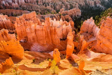 Zonsopgang op Hoodoos in Bryce Canyon National Park