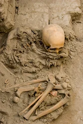 De vrouwelijke offer in de begrafenis met de mummiebundel in Huaca El Brujo., 2005 (foto)