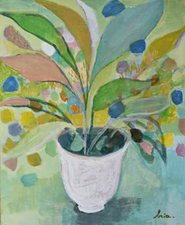 Kleurrijke potplant