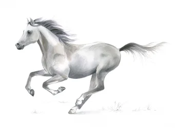 Dynamische gratie van een galopperend paard