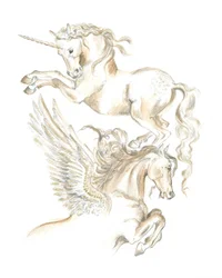 Eenhoorn en Pegasus