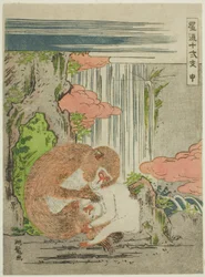 Aap (Saru), uit de serie "Modieuze Twaalf Tekens van de Dierenriem (Furyu juni shi)"