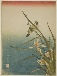 Orchidee en vogel