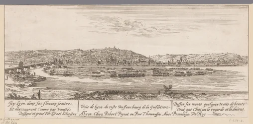 Gezicht op Lyon met de buitenwijk Guillotière